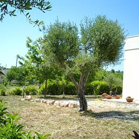 Bianca Дом отдыха *