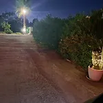 Bianca אוסטוני