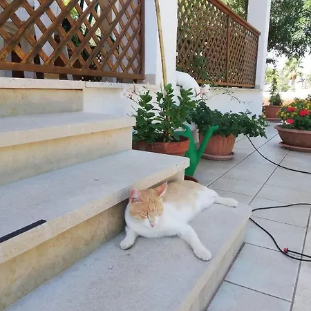 Semesterbostad Bianca