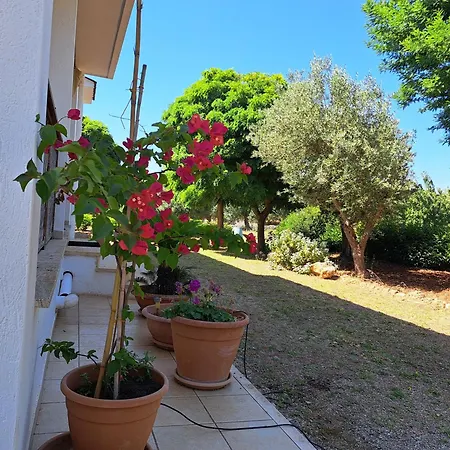 Semesterbostad Bianca