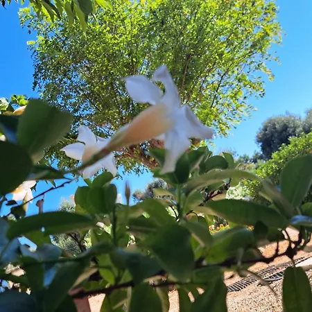 Bianca * Ostuni